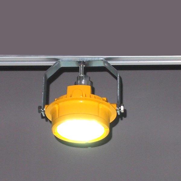 Aluminum alloy outdoor LED Loading Dock Lights with corrosion protection waterproof ip67 1